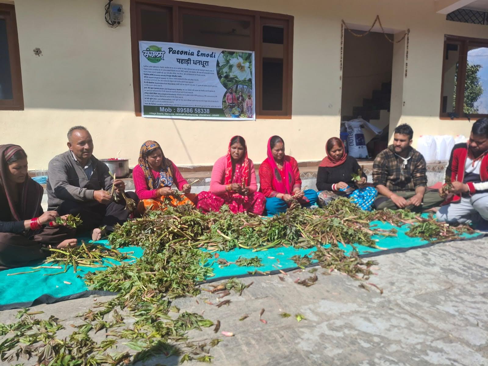 मिसाल: धनधूरा का अचार बनाकर औरों के प्रेरणास्रोत बने प्रगतिशील काश्तकार बलवीर सिंह राणा