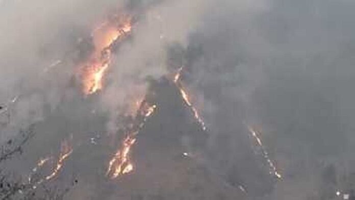 फायर सीजन शुरू होते ही थराली के जंगलों में लगी भीषण आग
