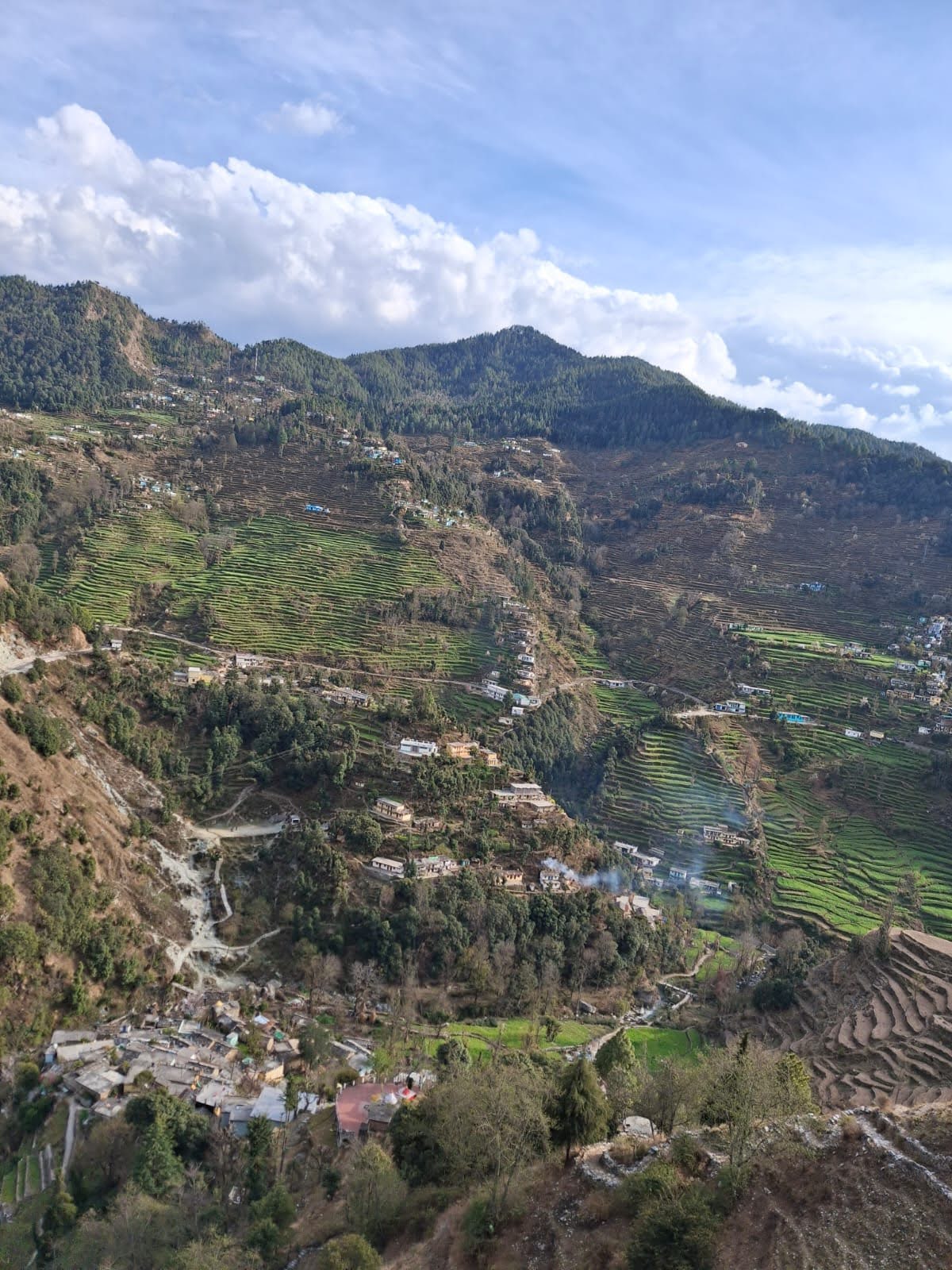 प्राकृतिक बदलाव: मार्च के प्रथम सप्ताह में प्रकृति में दिखने लगा रुखापन, प्राकृतिक जल स्रोतों पर संकट, जंगलों में लग रही भीषण आग