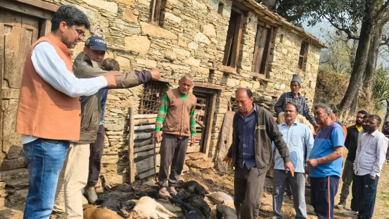 मुसीबत: गुलदार ने एक ही रात में मार डालीं 17 बकरियां, ग्रामीणों में ख़ौफ़ और आक्रोश