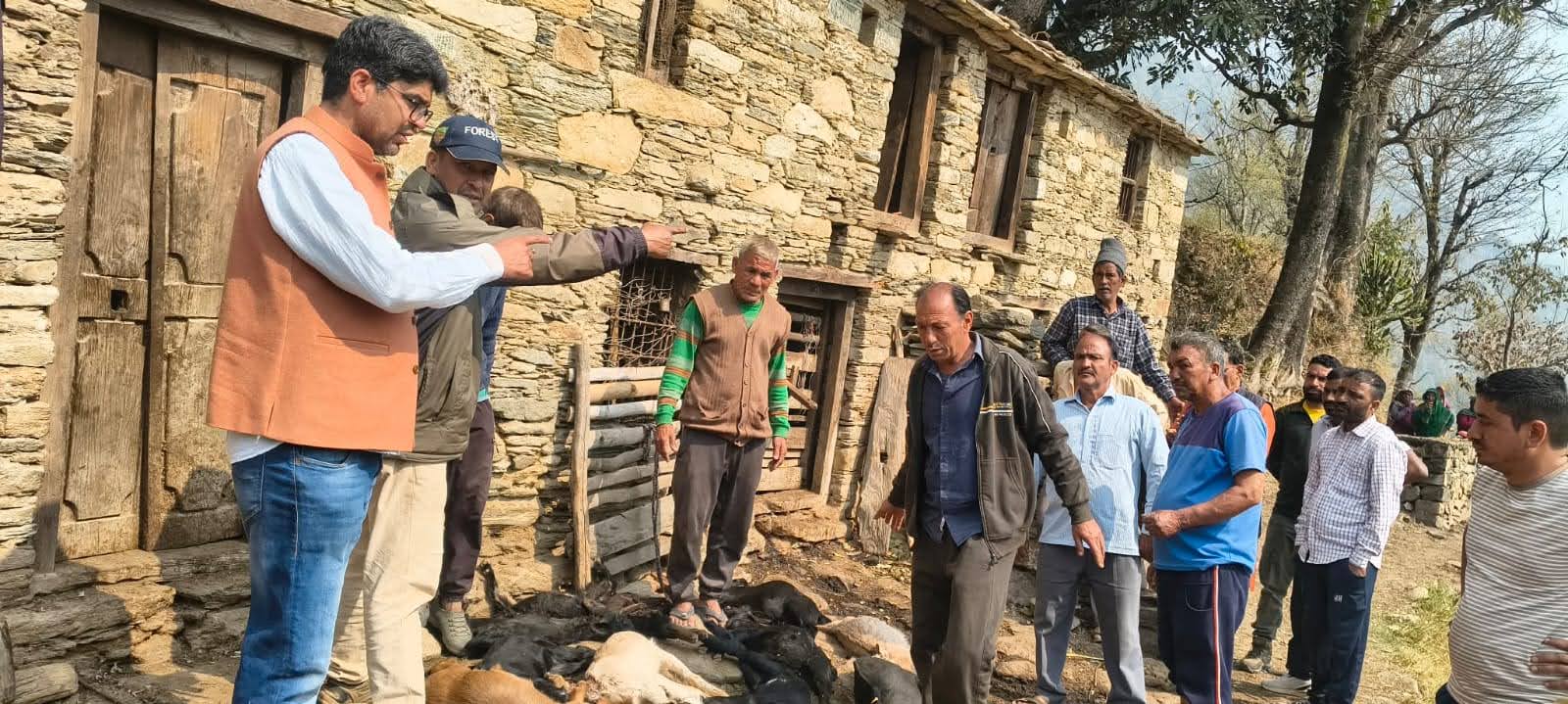 मुसीबत: गुलदार ने एक ही रात में मार डालीं 17 बकरियां, ग्रामीणों में ख़ौफ़ और आक्रोश