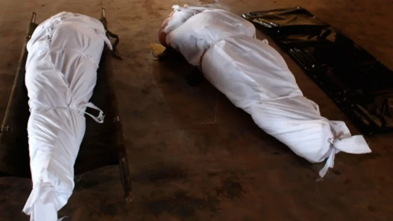 दुखद : ट्रैक्टर-ट्रॉली पलटने से दो युवकों की अस्पताल ले जाते हुए मौत, दो युवक घायल