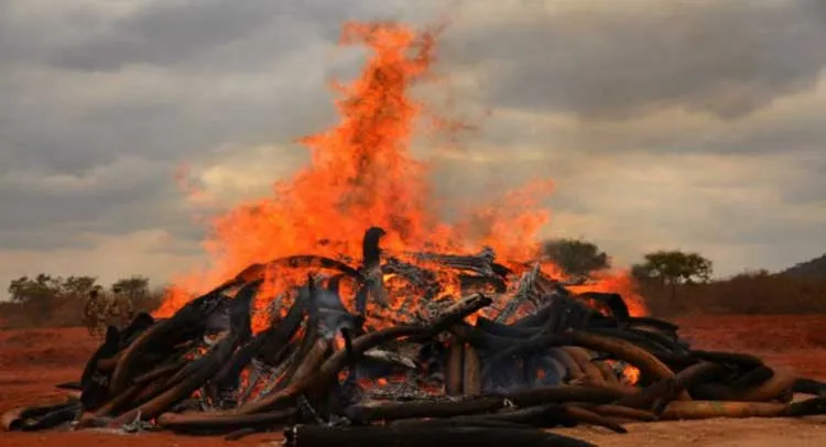 हृदय विदारकः जब गीली लकड़ियां न जल सकीं तो डीजल और टायर जलाकर किया बेटी का अंतिम संस्कार