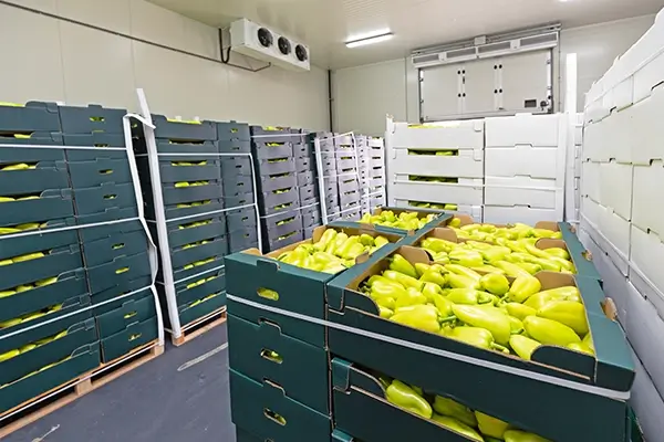 आवाज़: कोल्ड स्टोरेज नहीं होने से किसानों को हो रहा नुकसान, सुनने को राजी नहीं है प्रशासन