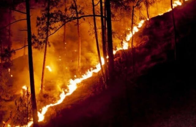 वनाग्नि: बागेश्वर से गरुड़ तक धधकने लगे जंगल, वन विभाग ने लोगों को दी सतर्क रहने की नसीहत