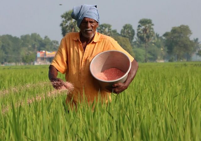 मुद्दा: आखिर आज के हालात में अनाज से ज्यादा अहम और क्या है?