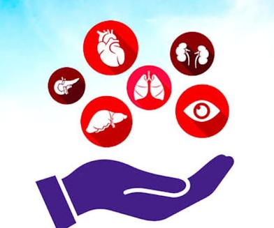 मिसाल: जाते-जाते 7 घरों का चिराग रोशन कर गया ये किसान, पत्नी ने लिया ऐसा फैसला; डॉक्टरों ने भी किया सलाम