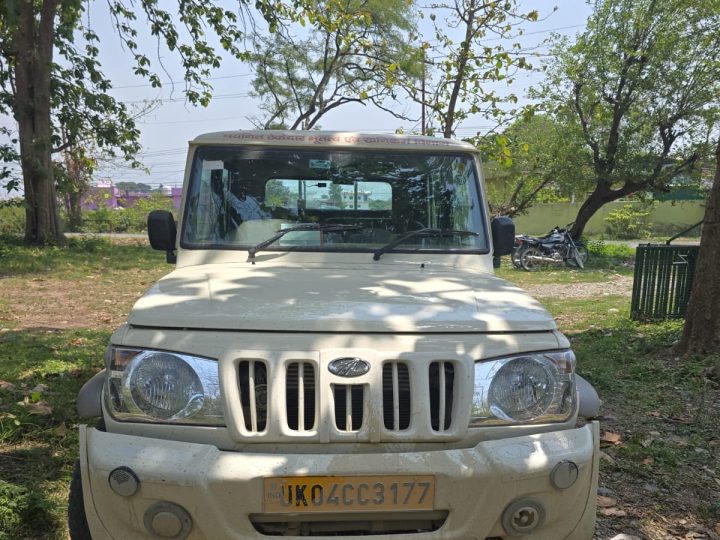 एक्शन: वन विभाग को मिली बड़ी कामयाबी, अवैध लकड़ी कारोबार का किया पर्दाफाश