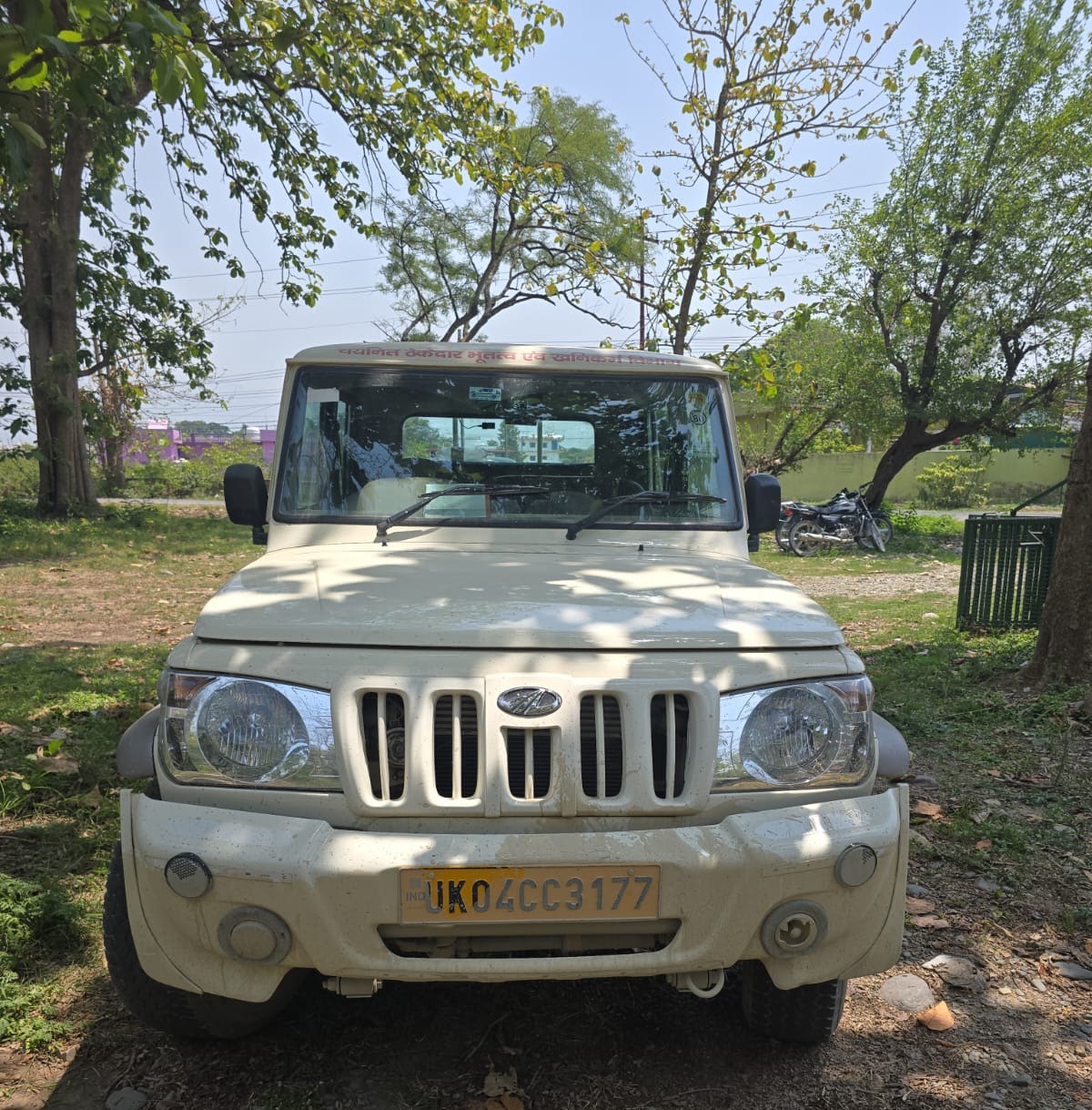 एक्शन: वन विभाग को मिली बड़ी कामयाबी, अवैध लकड़ी कारोबार का किया पर्दाफाश