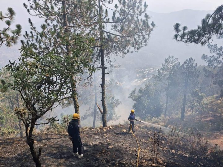 वनाग्नि: विभिन्न स्थानों पर लगी जंगल की आग पर फायर सर्विस ने की त्वरित कार्रवाई