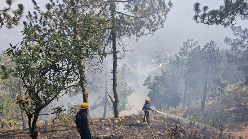 वनाग्नि: विभिन्न स्थानों पर लगी जंगल की आग पर फायर सर्विस ने की त्वरित कार्रवाई