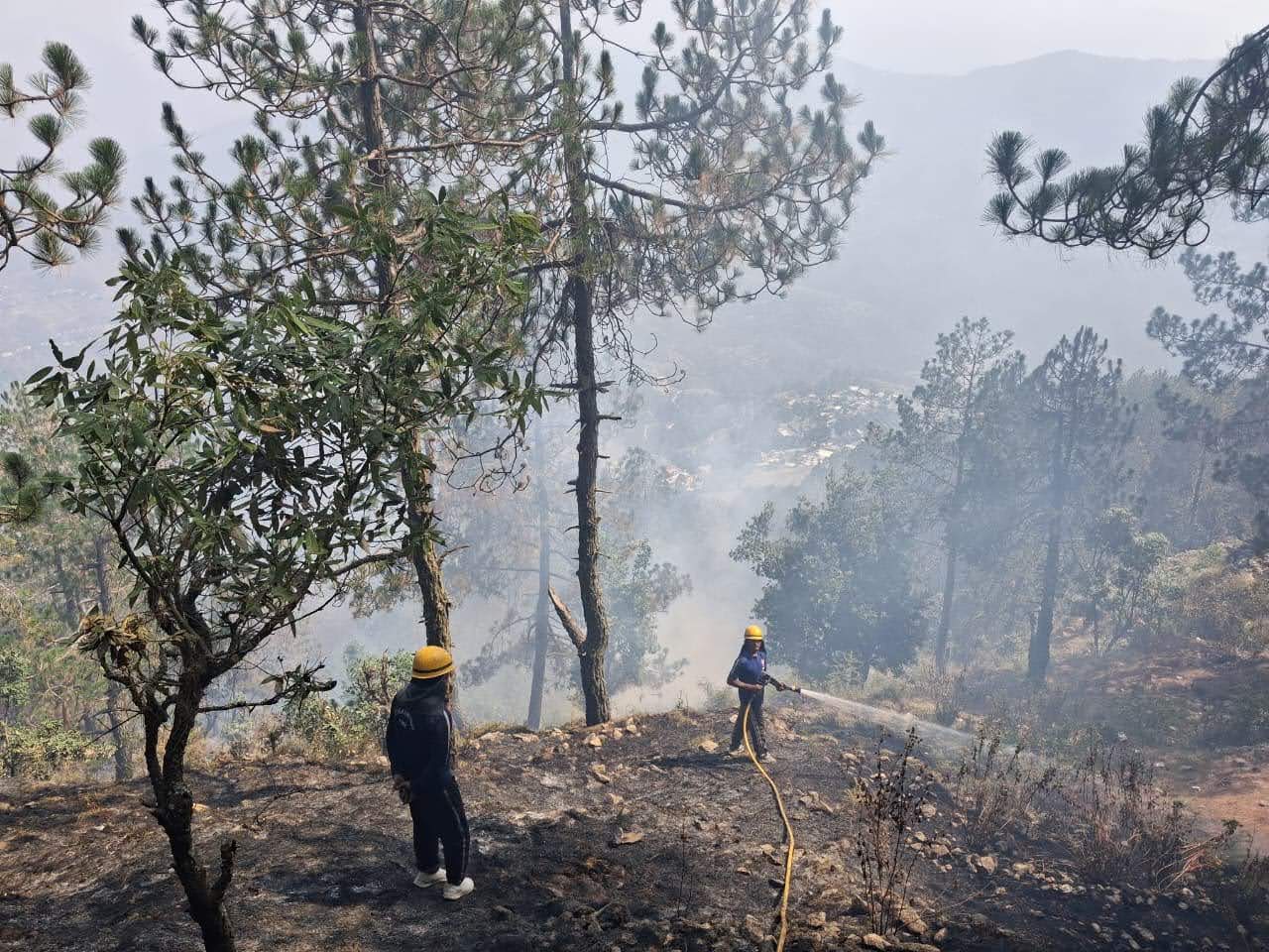 वनाग्नि: विभिन्न स्थानों पर लगी जंगल की आग पर फायर सर्विस ने की त्वरित कार्रवाई
