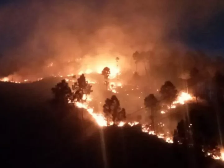 दुष्प्रभाव: गर्मी बढ़ने के साथ ही धधकने लगे जिले के जंगल, आग लगाने वालों पर कार्रवाई की मांग