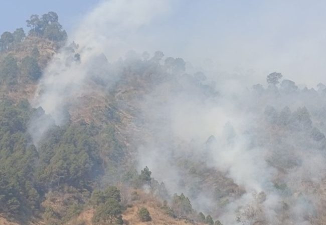 आफ़त: जंगलों की आग के धुएं और धुंध से बढ़ने लगीं लोगों की मुश्किलें