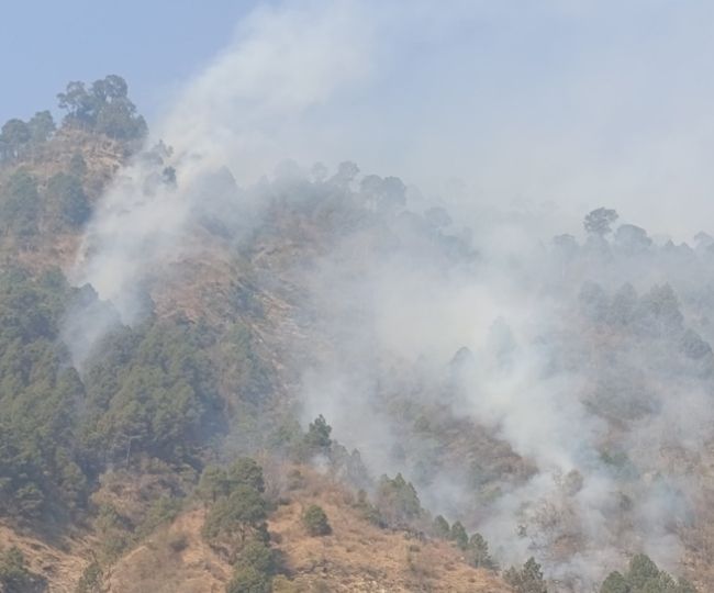 आफ़त: जंगलों की आग के धुएं और धुंध से बढ़ने लगीं लोगों की मुश्किलें