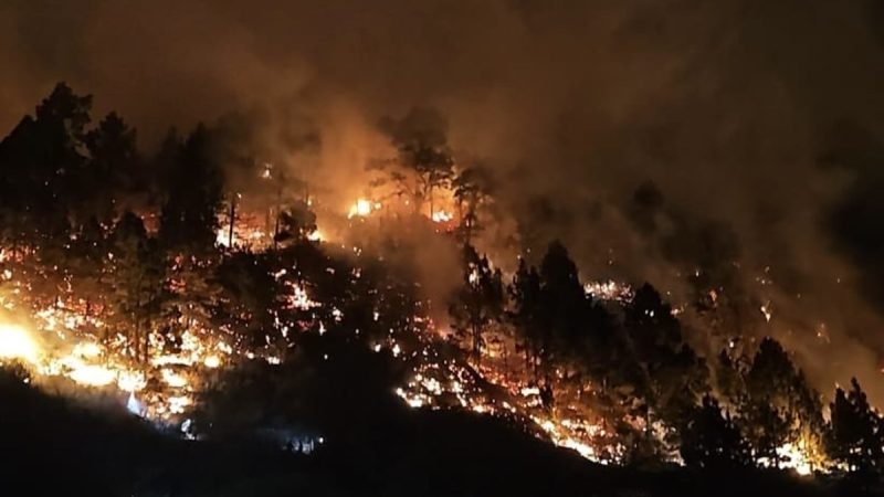 वनाग्नि: आग से कई हेक्टेयर जंगल जलकर ख़ाक, धुंध के चलते लोगों का सांस लेना मुश्किल