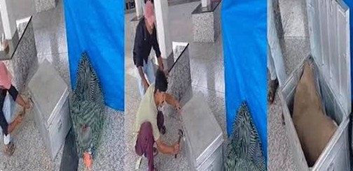 बेरहमी: 6 टुकड़ों में काटा युवती को , 5 ट्रेन में मिले, सिर गायब; बक्से में धड़ और हाथ-पैर पॉलिथीन में पैक