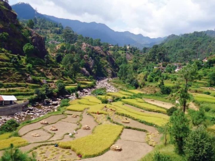 अनदेखी: साल 1937 के बाद अति पिछड़ा बिन्हार क्षेत्र में नहीं हुआ बंदोबस्त, भू-कारोबारी उठा रहे हैं फायदा