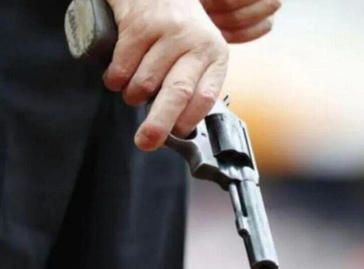 शिकंजा: कार में तमंचा-कारतूस के साथ घूम रहा था चालक, चेकिंग में पुलिस ने धर दबोचा