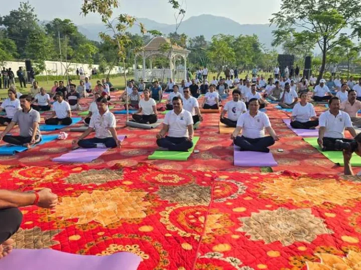 योग की छांव में विकास का संकल्प, एमडीडीए सिटी फॉरेस्ट पार्क बना स्वास्थ्य और प्रकृति का महाकुंभ