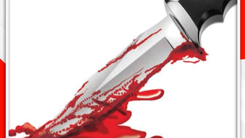 निर्मम: 6 महीने की बच्ची रो रही थी तो मां ने गला रेतकर मार डाला, बिहार में सनसनीखेज वारदात