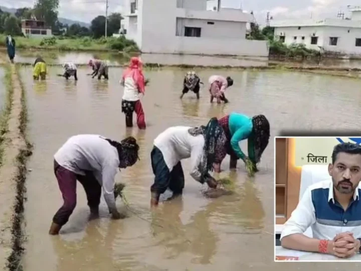 विलुप्त होती दून बासमती की खुशबू फिर लौटेगी; मुख्यमंत्री के संकल्प, जिला प्रशासन की पहल और किसानों की मेहनत से पारंपरिक बासमती के पुनर्जीवन की जगी उम्मीद
