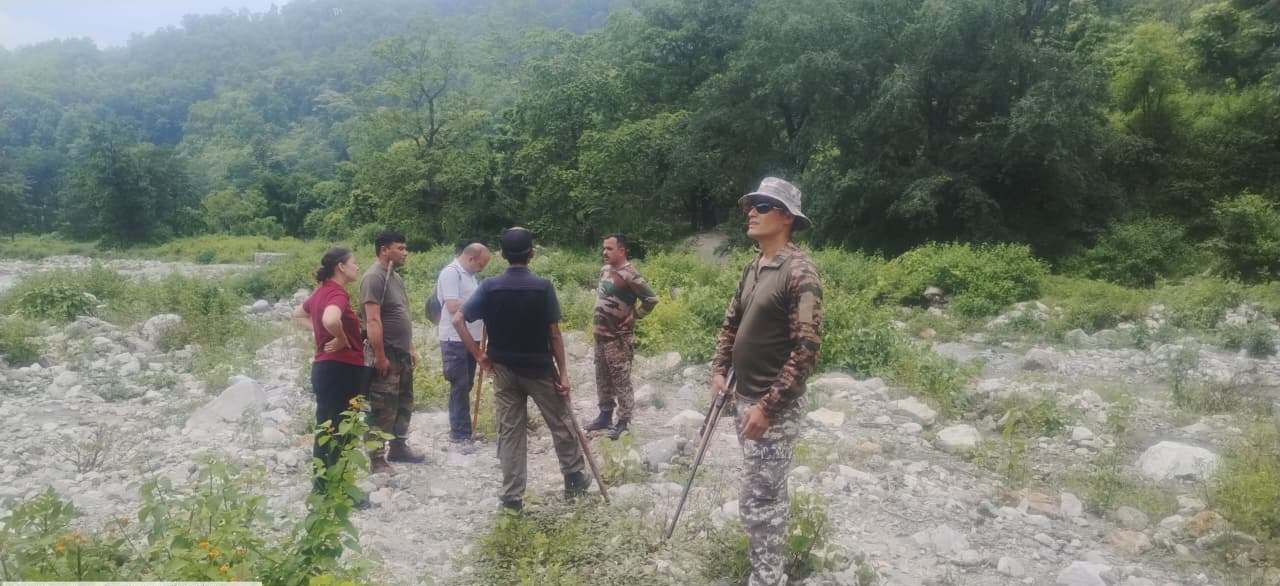 निगरानी: मोहान वन क्षेत्र में बाघ की निगरानी तेज, वन विभाग ने लगाए लाइव कैमरे और रेस्क्यू पिंजरे