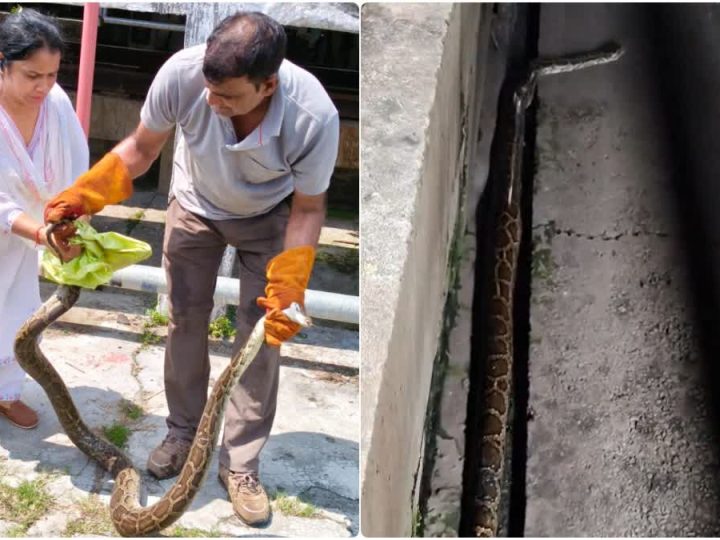 सनसनी: वंदे भारत में घुसने की कोशिश कर रहा था दस फीट लंबा अजगर, नजर पड़ते ही मचा हड़कंप