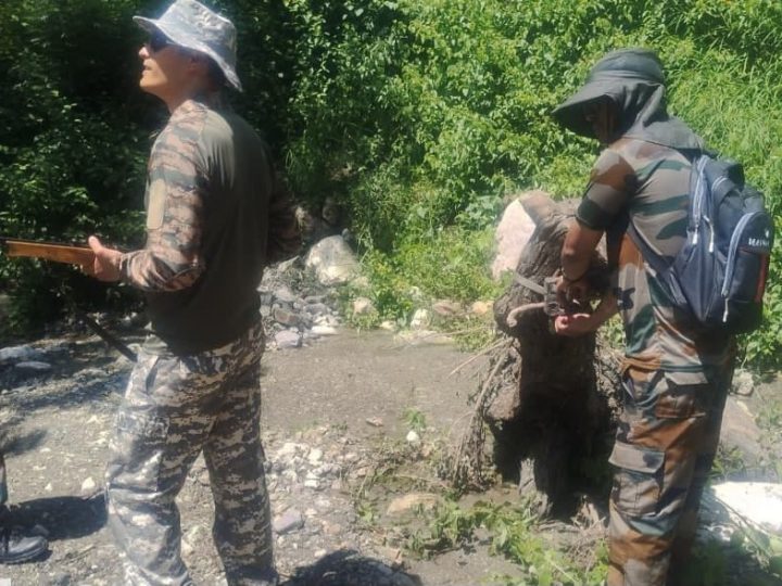 निगरानी: मोहान वन क्षेत्र में बाघ की निगरानी जारी, रेस्क्यू के लिए नौ पिंजरे और ड्रोन की मदद