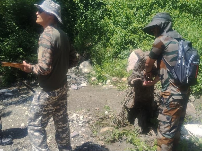 निगरानी: मोहान वन क्षेत्र में बाघ की निगरानी जारी, रेस्क्यू के लिए नौ पिंजरे और ड्रोन की मदद