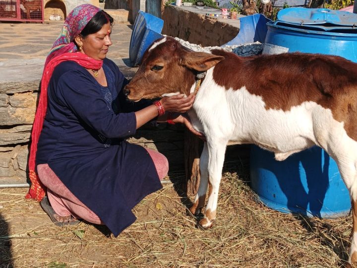 मिसाल: एनआरएलएम से बदली राधा रावत की जिंदगी, डेयरी व्यवसाय से कर रही है अतिरिक्त आय