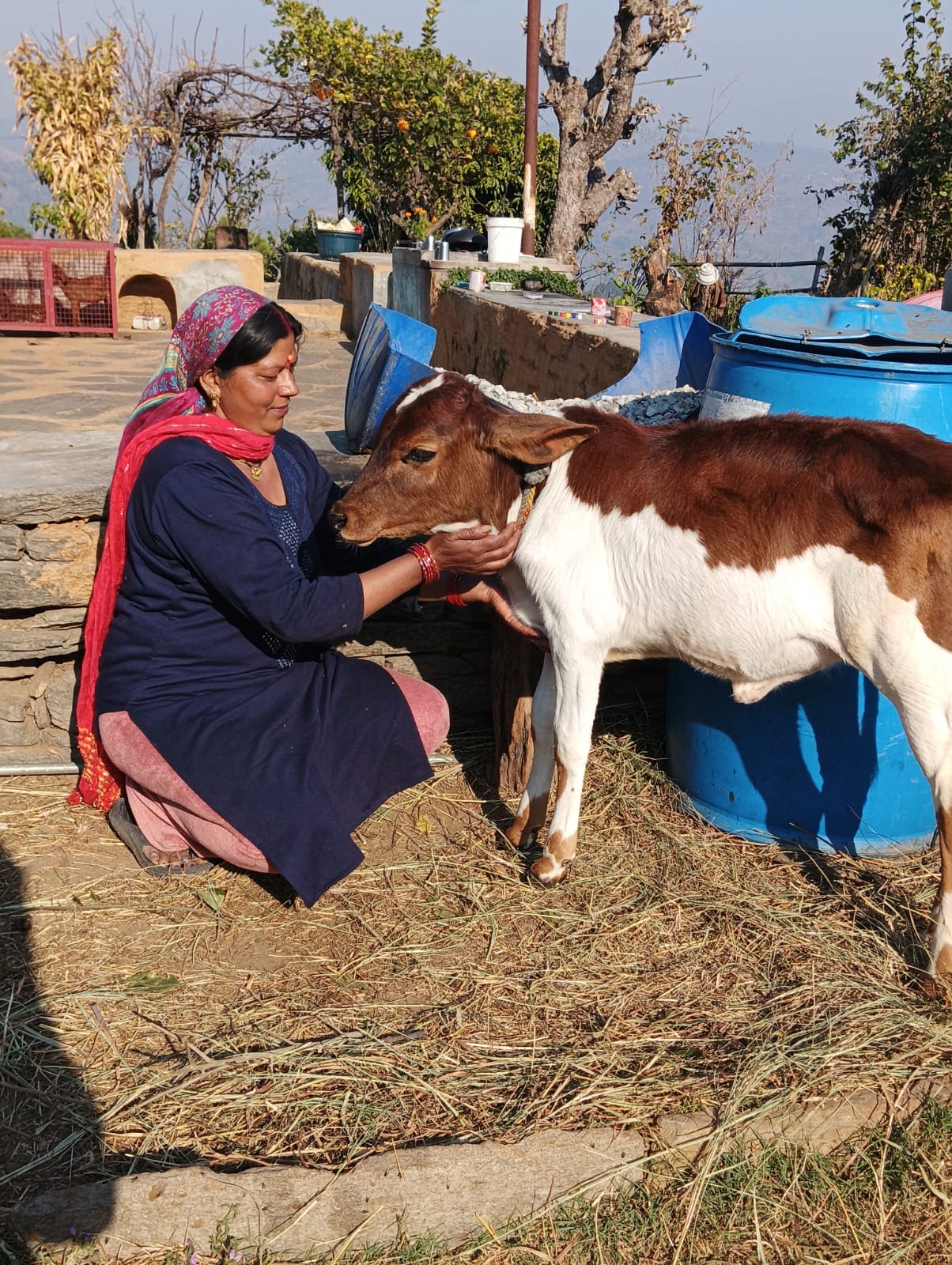 मिसाल: एनआरएलएम से बदली राधा रावत की जिंदगी, डेयरी व्यवसाय से कर रही है अतिरिक्त आय