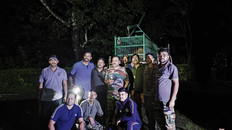 राहत: मोहान वन क्षेत्र में पकड़ा गया बाघ, महिला की मौत के बाद चला था लगातार रेस्क्यू अभियान