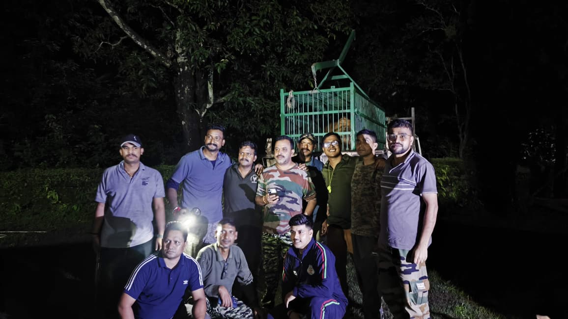 राहत: मोहान वन क्षेत्र में पकड़ा गया बाघ, महिला की मौत के बाद चला था लगातार रेस्क्यू अभियान