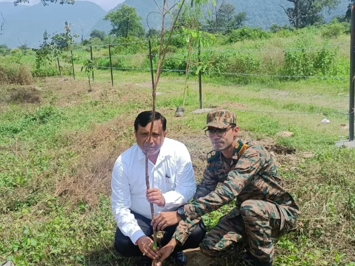 पौधे नहीं, भविष्य की हरियाली तैयार कर रहा एमडीडीए, रायपुर आर्मी फायरिंग रेंज में फलदार और जड़ी-बूटी वाले पौधों का रोपण