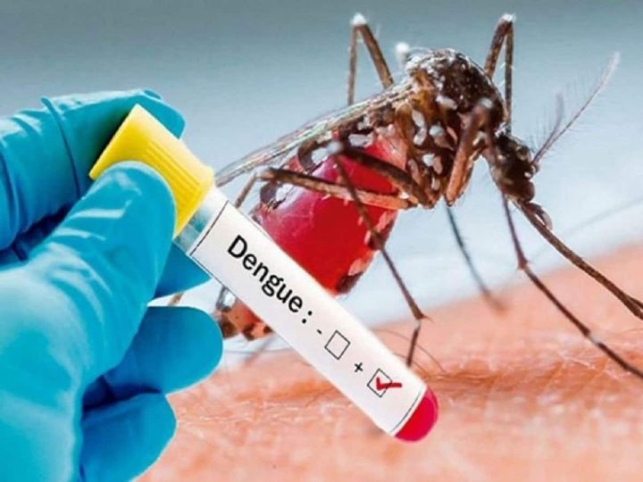 तैयारी: इलाके में लगातार डेंगू के मरीज मिलने पर जल्द बनाया जाएगा कंट्रोल रूम