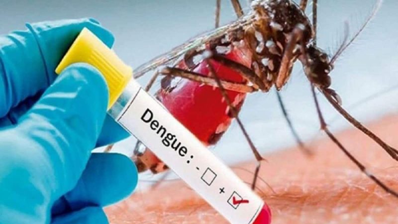 तैयारी: इलाके में लगातार डेंगू के मरीज मिलने पर जल्द बनाया जाएगा कंट्रोल रूम