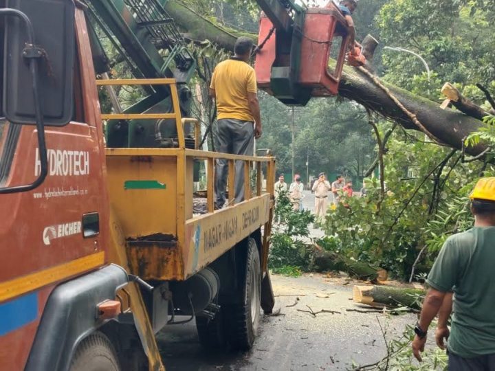 पहल : देहरादून की सड़कों पर चलेगा ‘गड्ढामुक्ति’ का महाअभियान