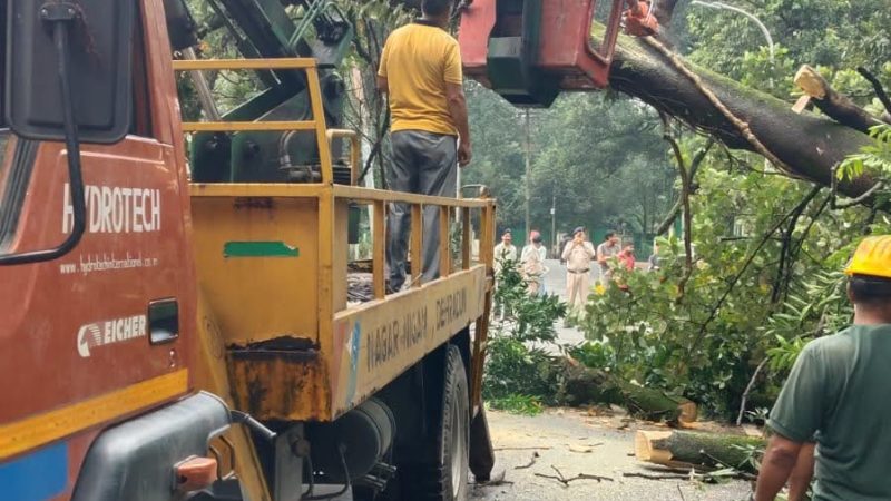 पहल : देहरादून की सड़कों पर चलेगा ‘गड्ढामुक्ति’ का महाअभियान
