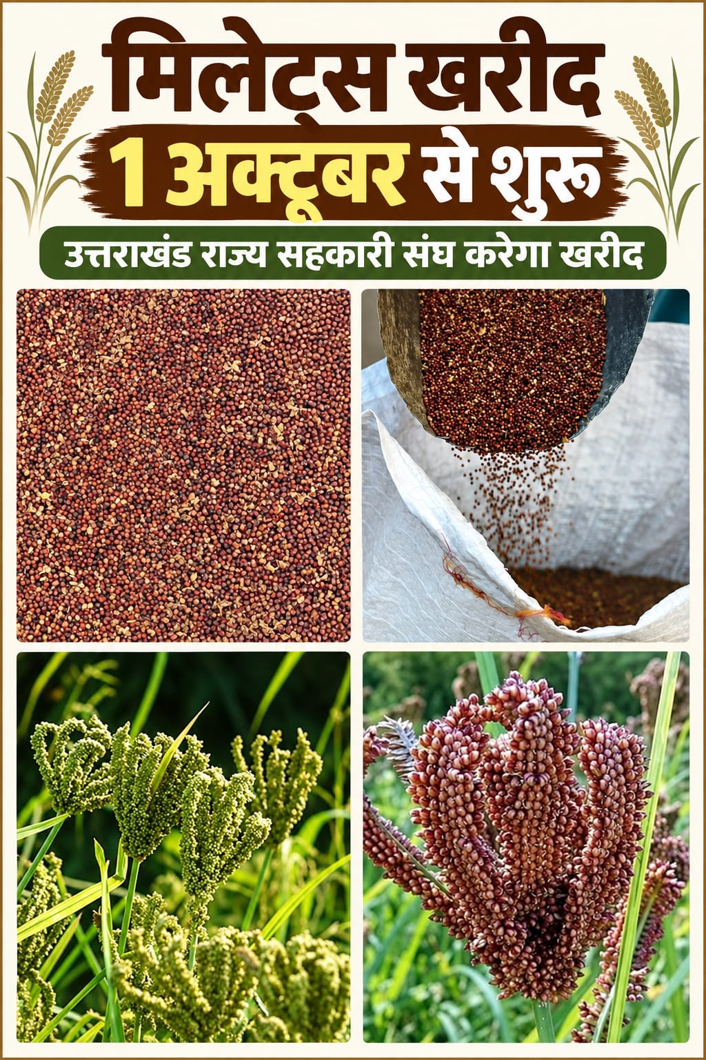 राज-काज: प्रदेश भर में पहली अक्टूबर से शुरू होगी मिलेट्स की खरीदः डाॅ. धन सिंह रावत