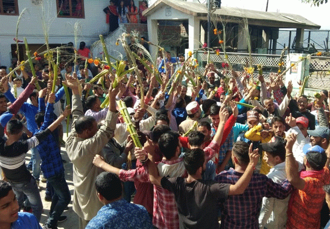 परंपरा: उत्पाल्टा और कुरौली के बीच हुआ पारंपरिक गागली युद्ध, ग्रामीणों ने उत्साहपूर्वक लिया भाग