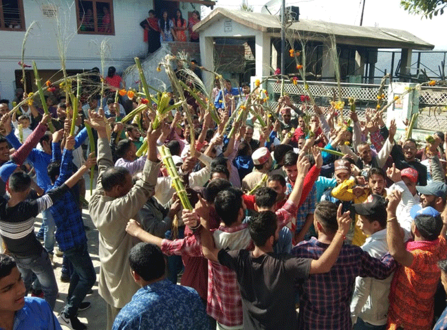 परंपरा: उत्पाल्टा और कुरौली के बीच हुआ पारंपरिक गागली युद्ध, ग्रामीणों ने उत्साहपूर्वक लिया भाग