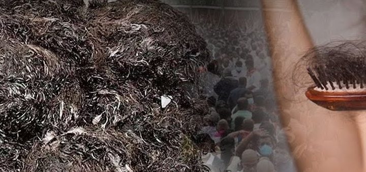 कारोबार: कूड़े में फेंके जाने वाले बाल बने हजारों की कमाई का जरिया, हल्द्वानी की गलियों में घूम रहे खरीदार!
